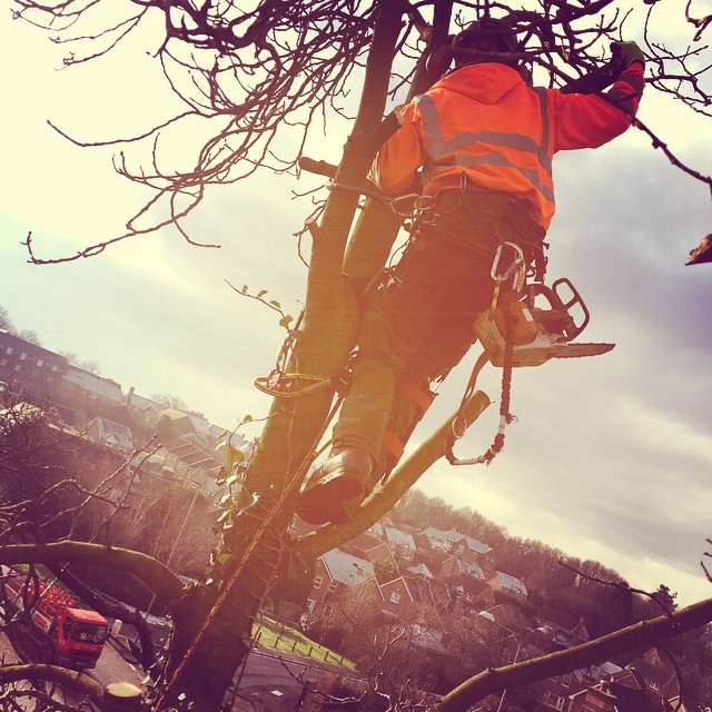 Our Team Thumbnail Image